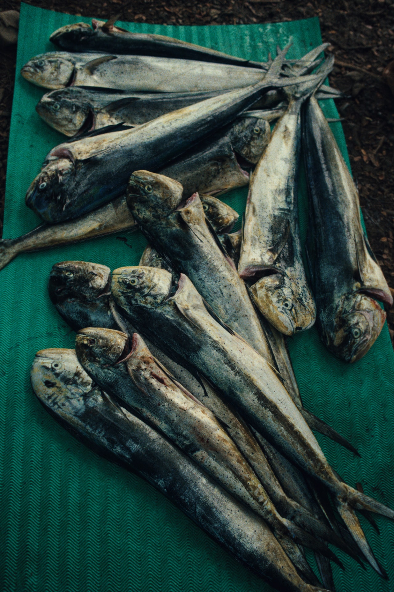 aether_apparel_1.38.1