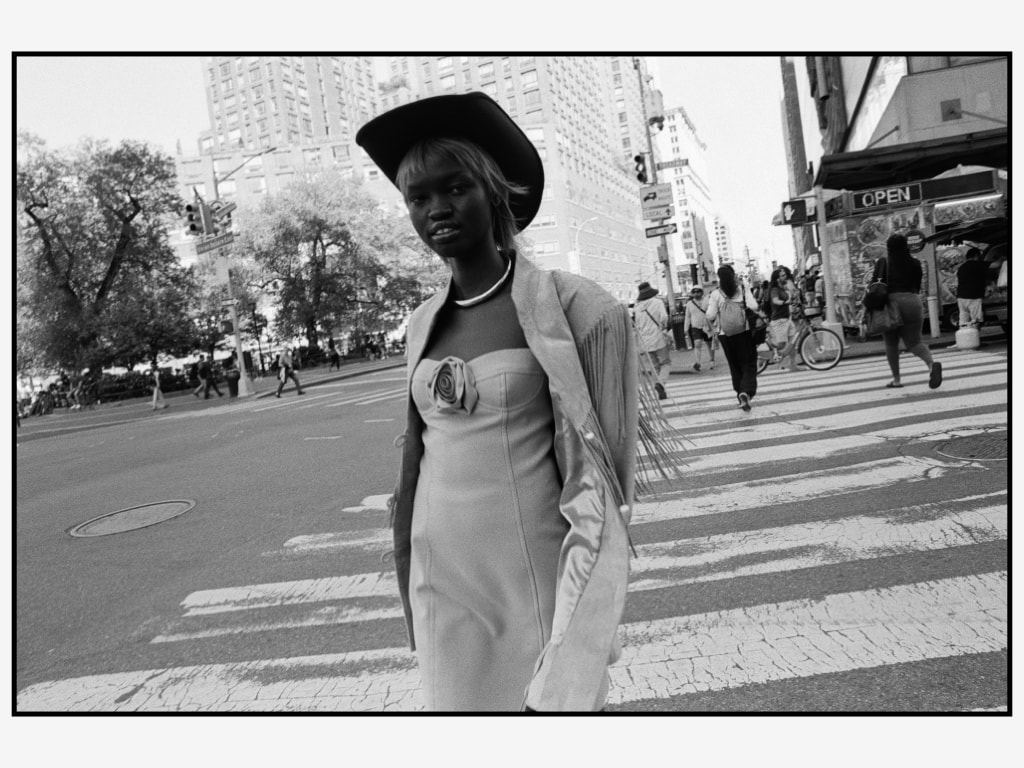 DIANA-ACHON-X-DBTN-V1.010