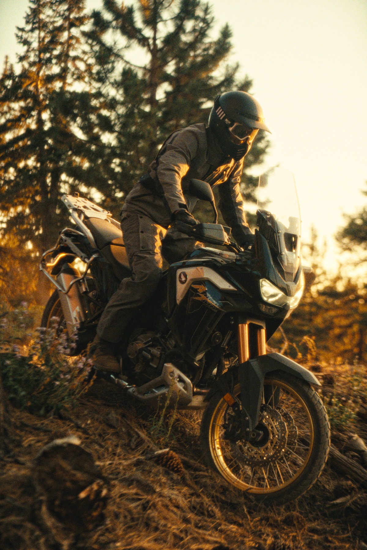 aether_bigbear_1.45.1