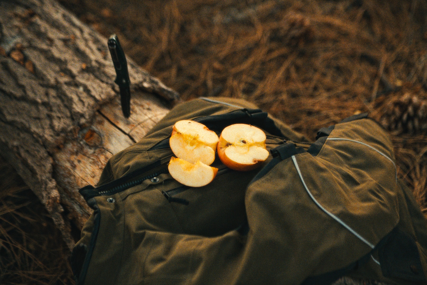 aether_bigbear_1.49.1