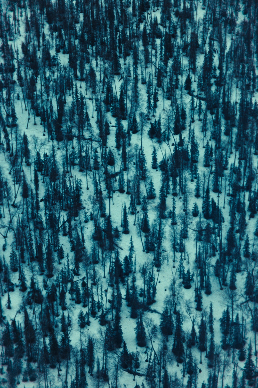 filson_deanbradshaw_1.178.2