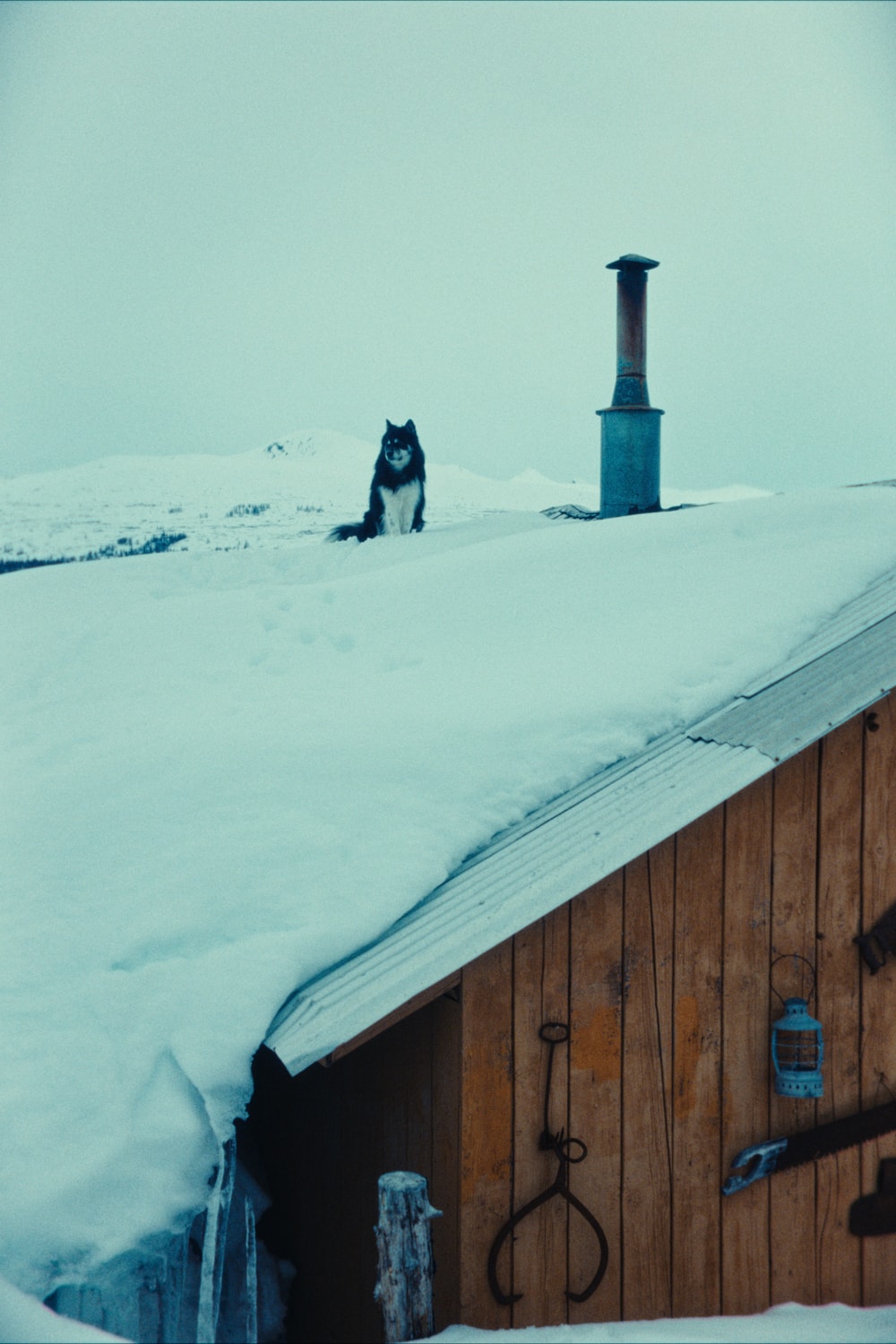 filson_deanbradshaw_alaska_1.93.1