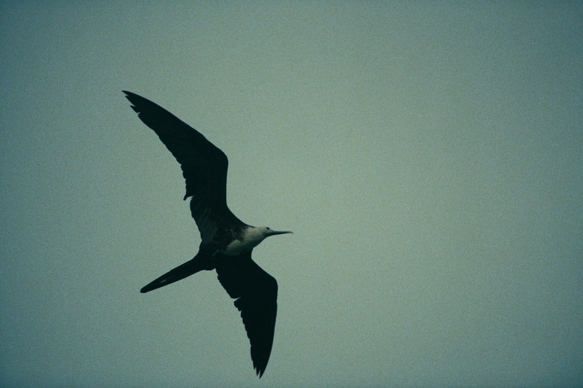 aether_apparel_1.15.1