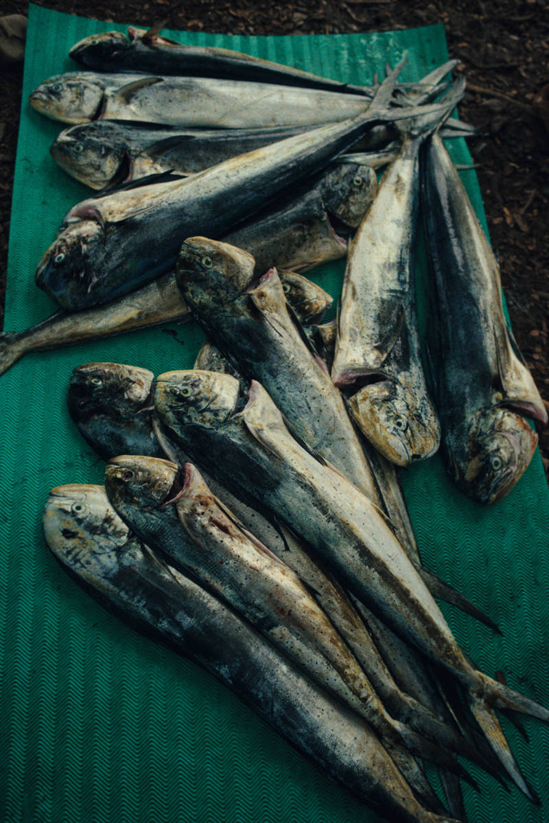 aether_apparel_1.38.1